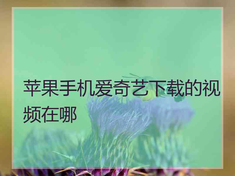 苹果手机爱奇艺下载的视频在哪