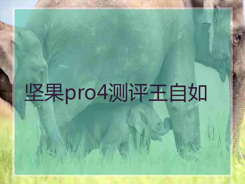 坚果pro4测评王自如