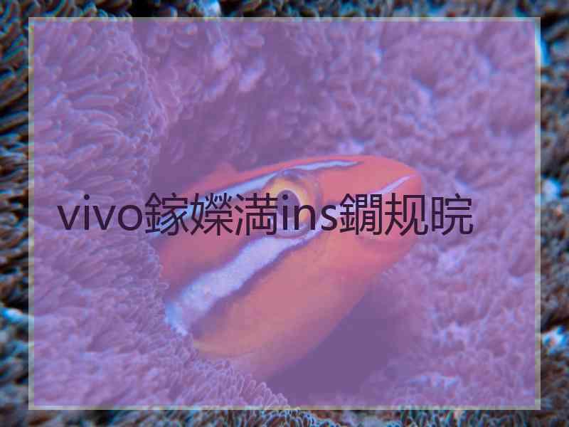 vivo鎵嬫満ins鐗规晥
