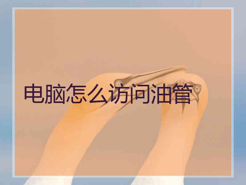 电脑怎么访问油管