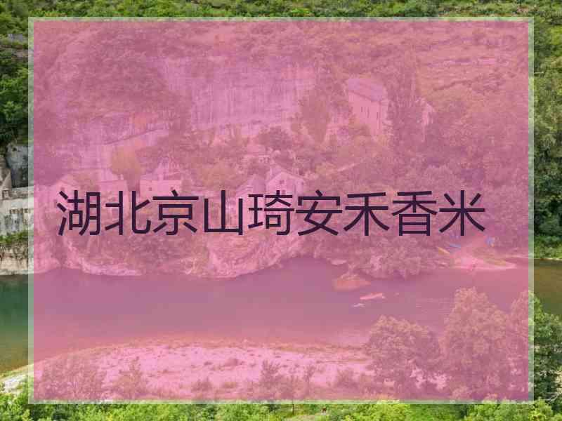 湖北京山琦安禾香米