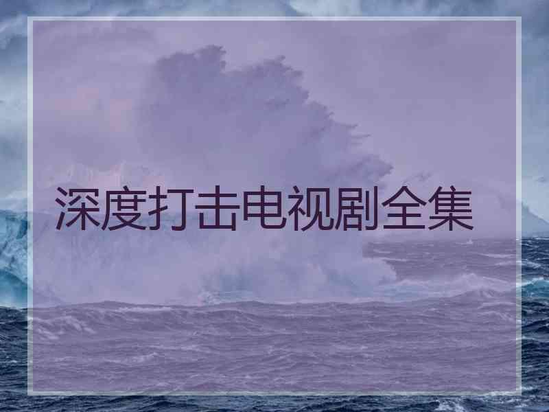 深度打击电视剧全集