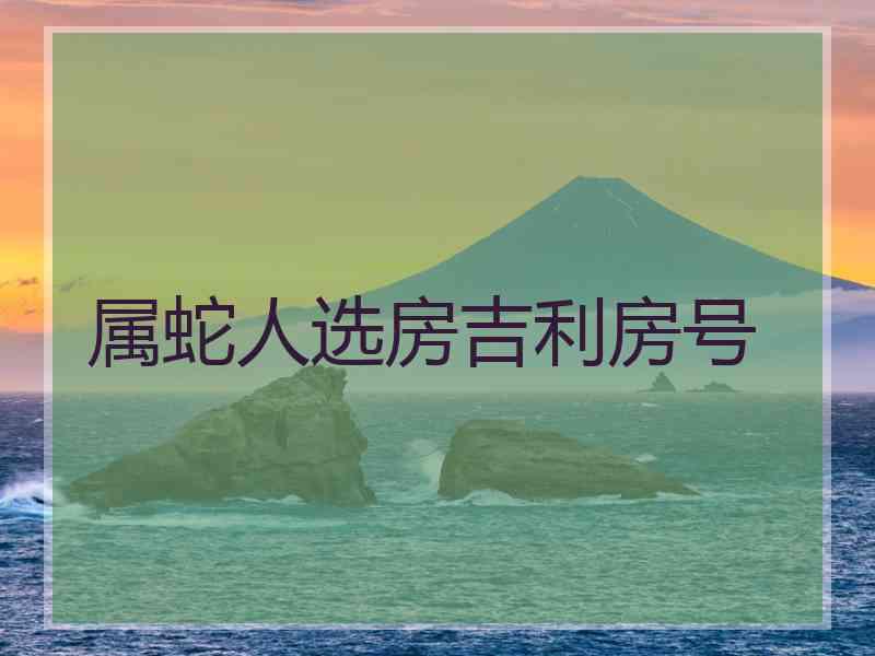 属蛇人选房吉利房号