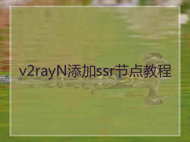 v2rayN添加ssr节点教程