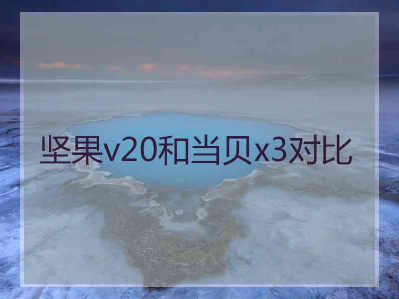 坚果v20和当贝x3对比