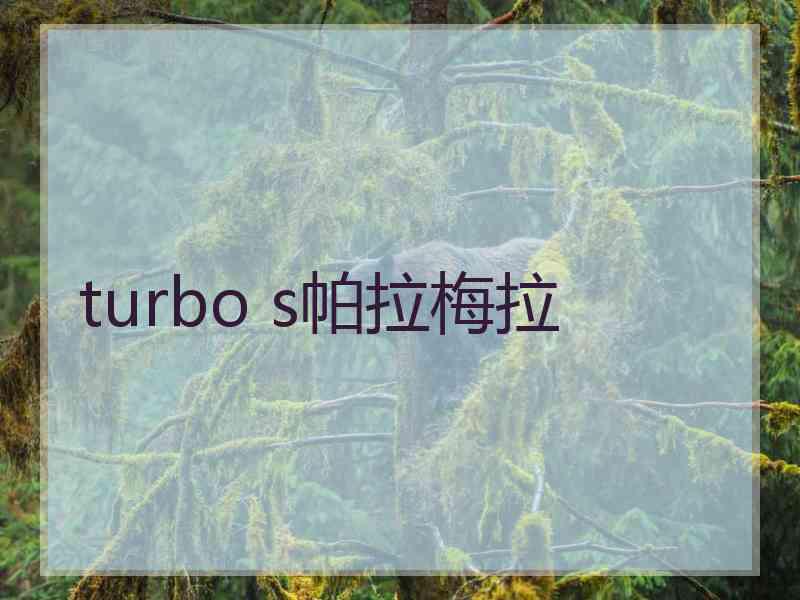 turbo s帕拉梅拉