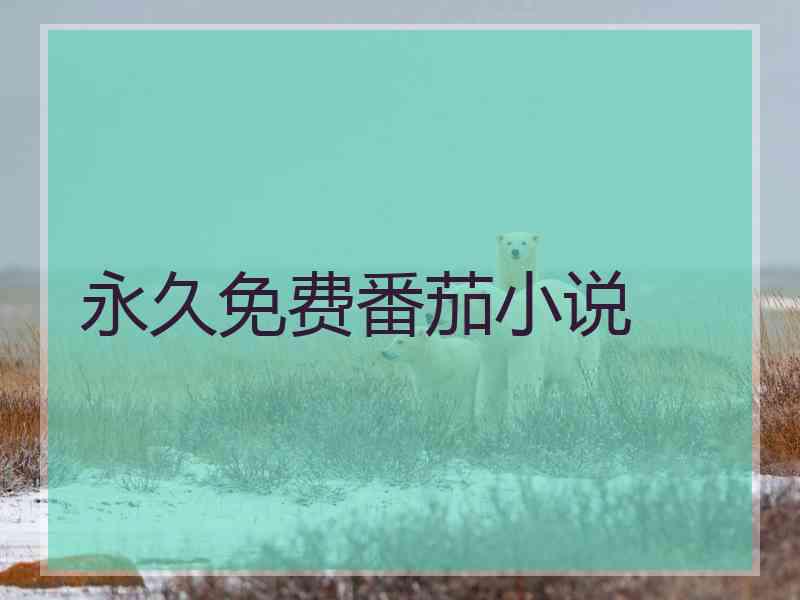 永久免费番茄小说