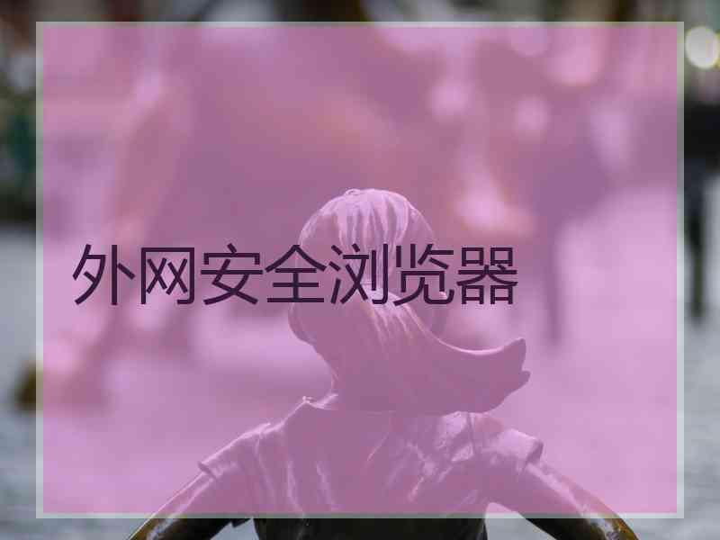 外网安全浏览器