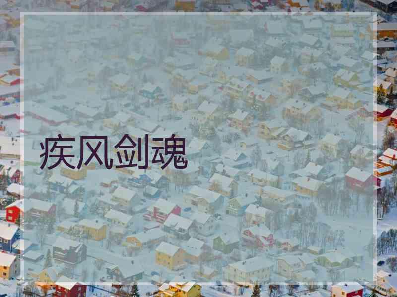 疾风剑魂