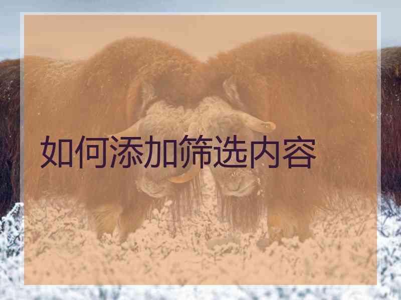 如何添加筛选内容