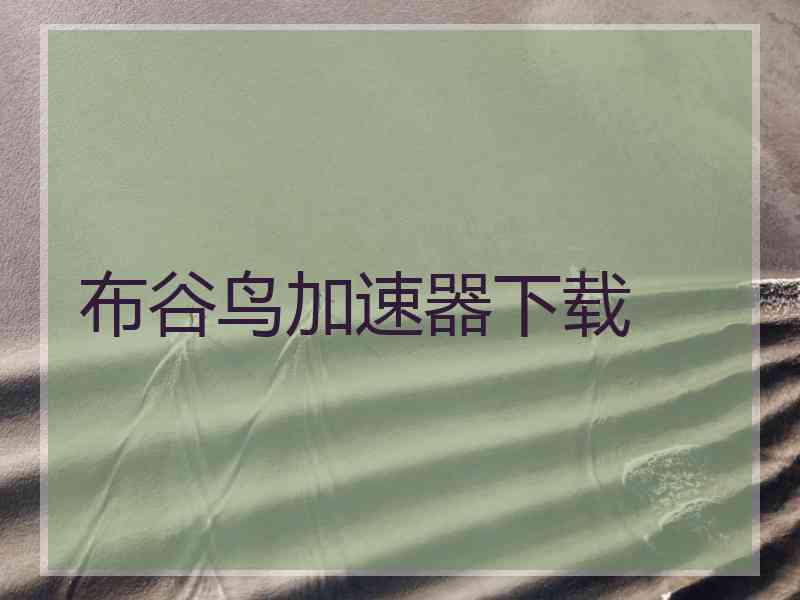 布谷鸟加速器下载
