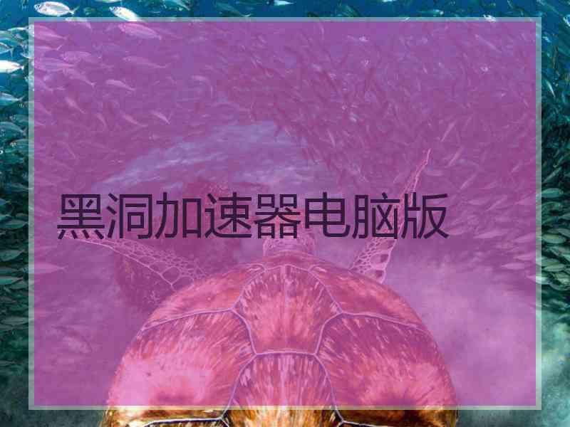 黑洞加速器电脑版