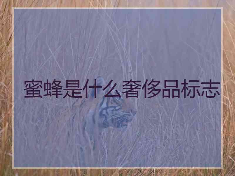 蜜蜂是什么奢侈品标志