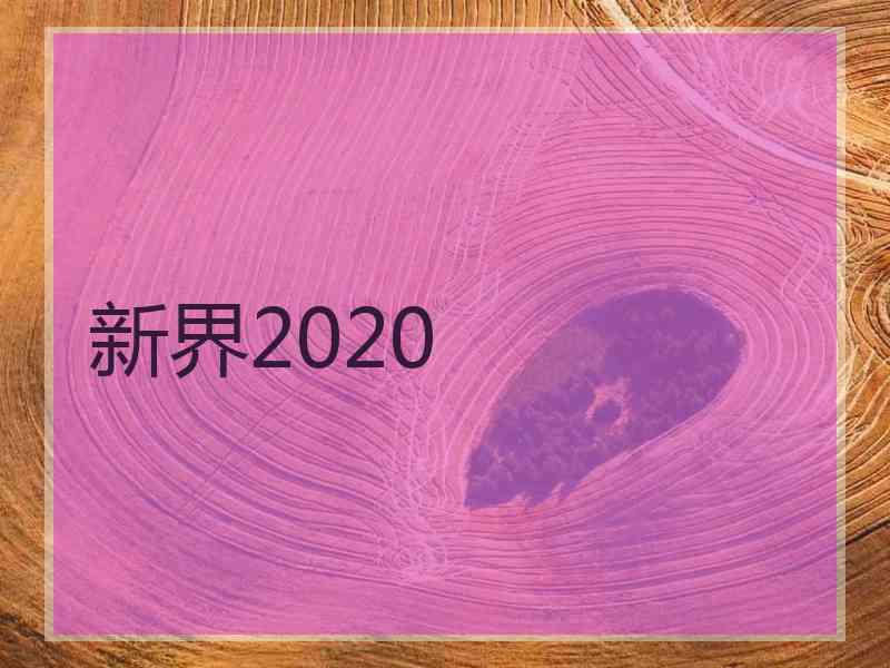 新界2020