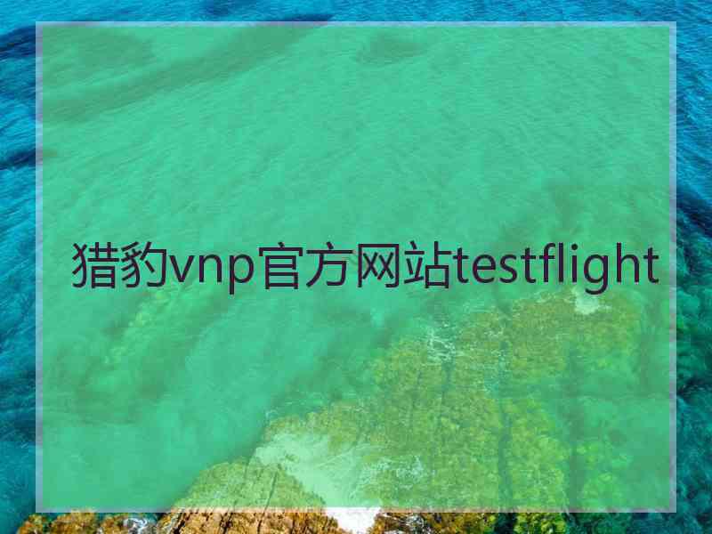 猎豹vnp官方网站testflight