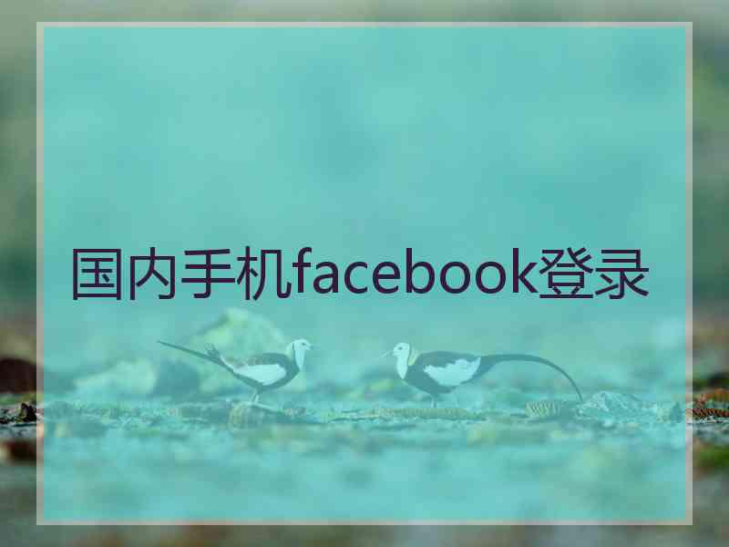 国内手机facebook登录