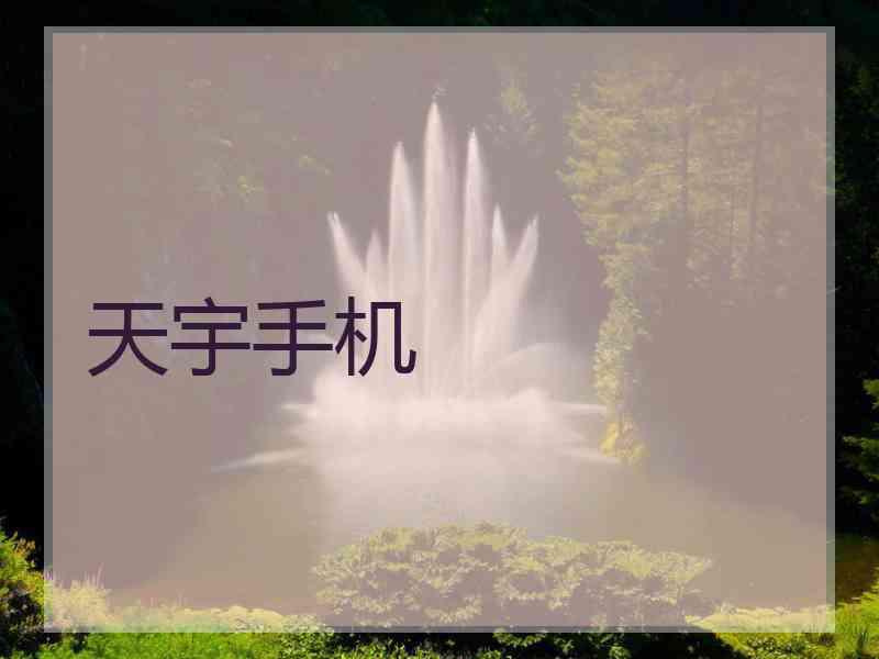 天宇手机