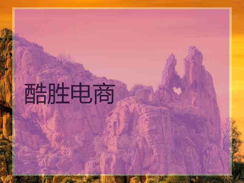 酷胜电商