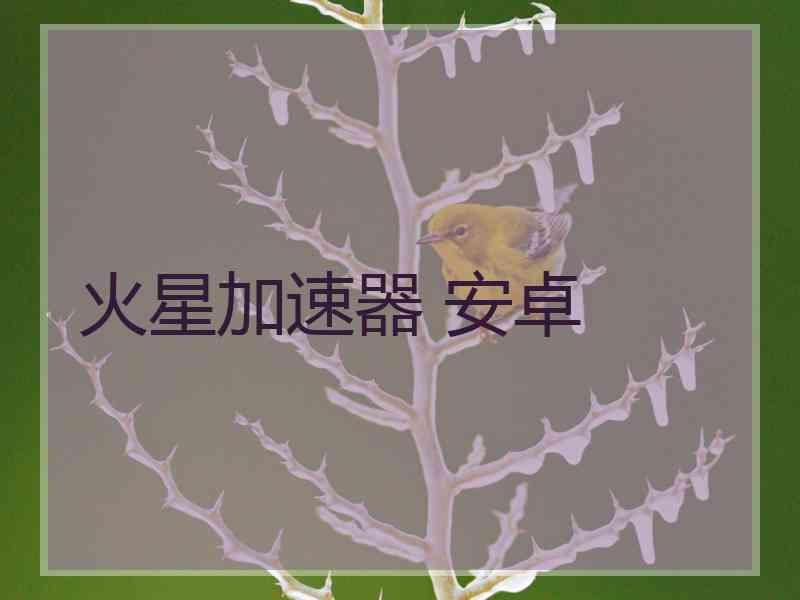 火星加速器 安卓