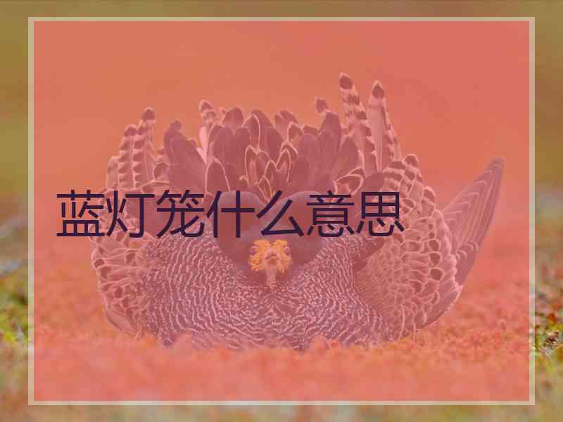 蓝灯笼什么意思