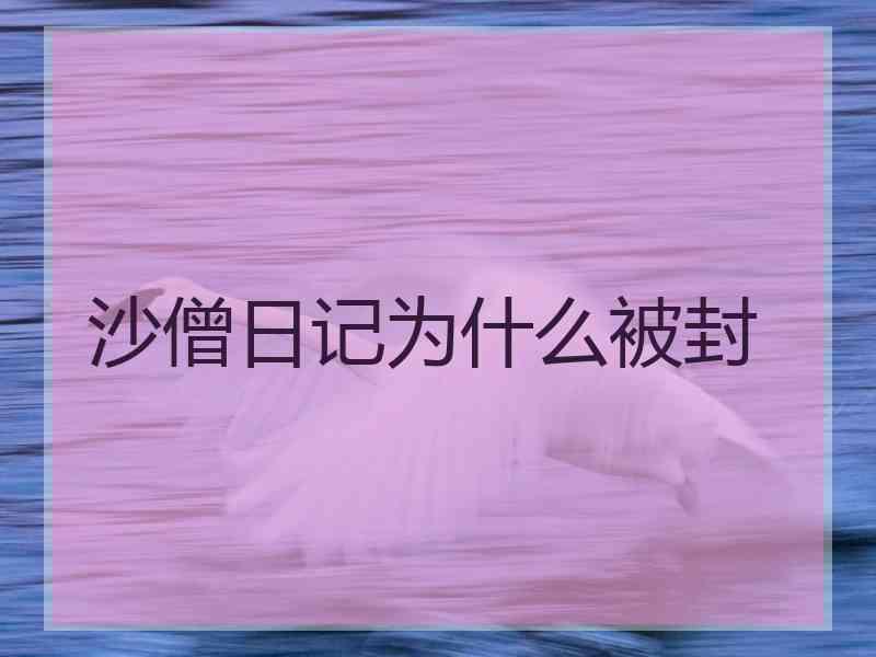 沙僧日记为什么被封