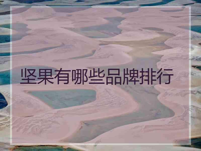坚果有哪些品牌排行
