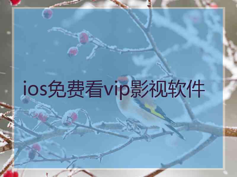 ios免费看vip影视软件