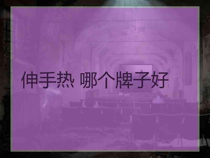 伸手热 哪个牌子好