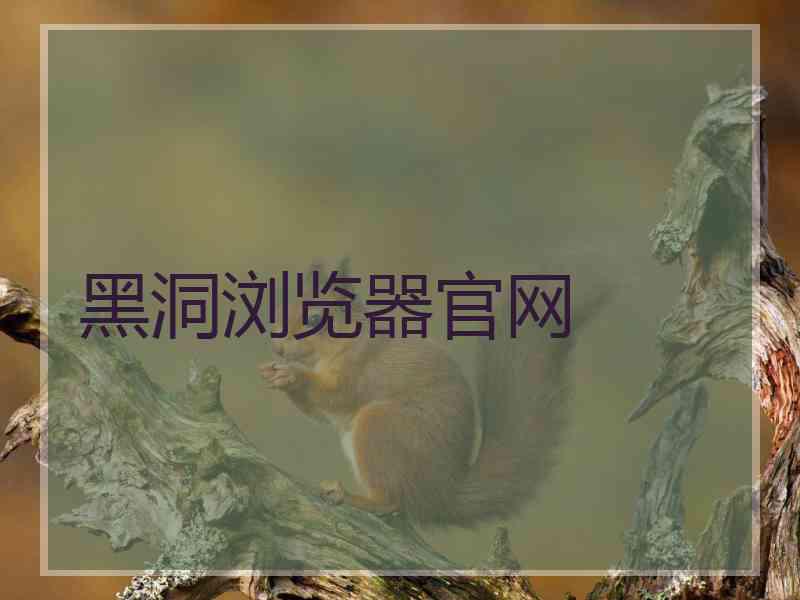 黑洞浏览器官网