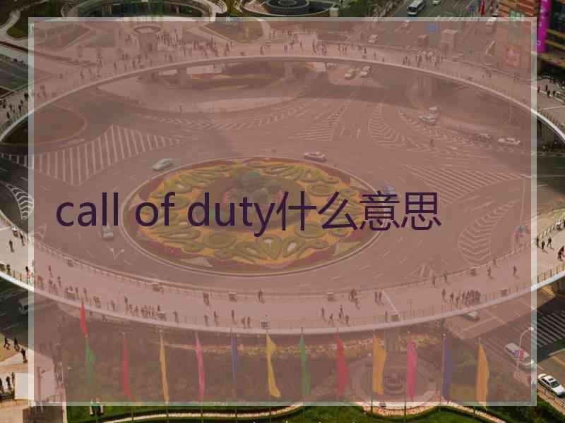 call of duty什么意思