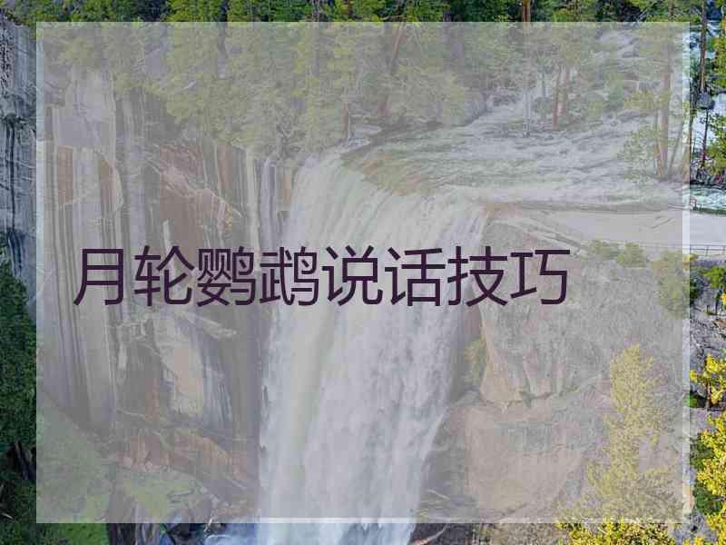 月轮鹦鹉说话技巧