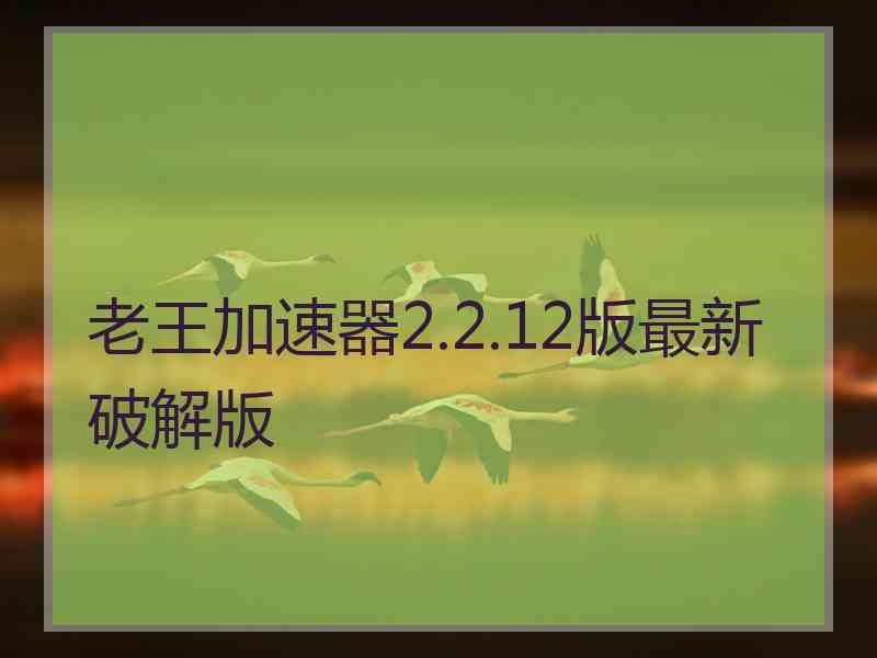 老王加速器2.2.12版最新破解版