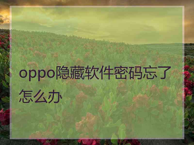 oppo隐藏软件密码忘了怎么办