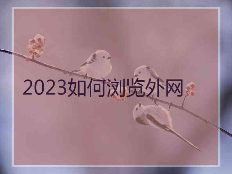 2023如何浏览外网