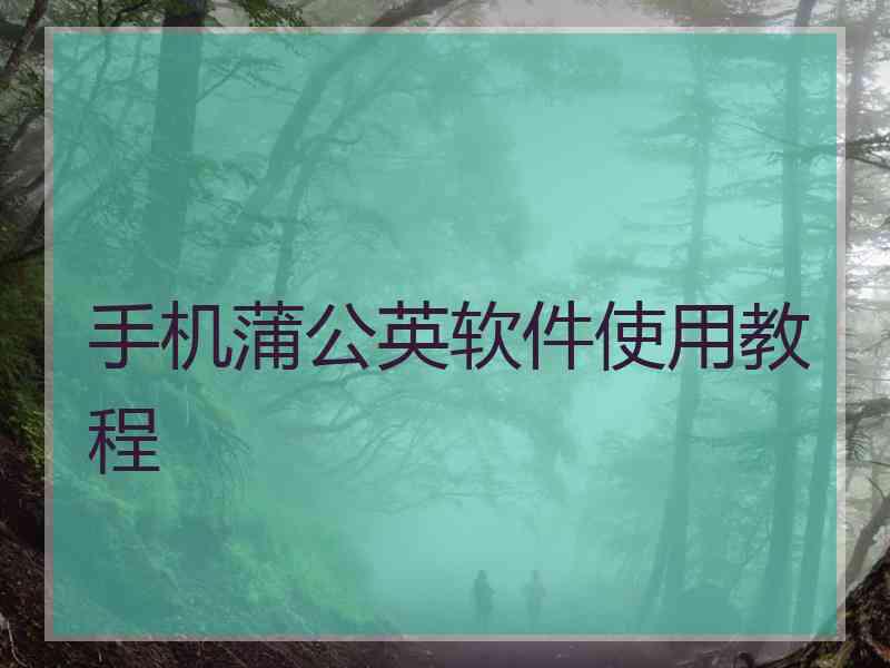手机蒲公英软件使用教程