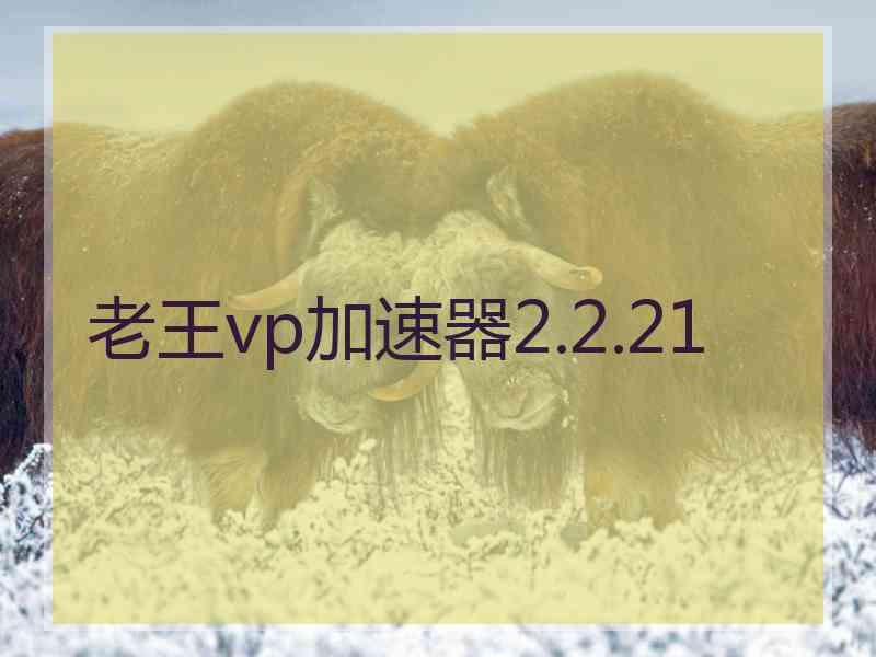 老王vp加速器2.2.21