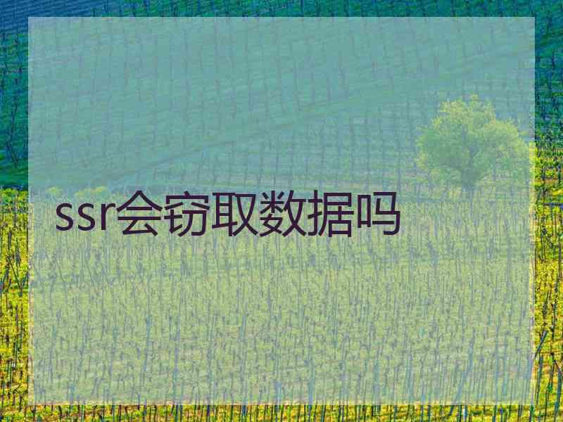 ssr会窃取数据吗