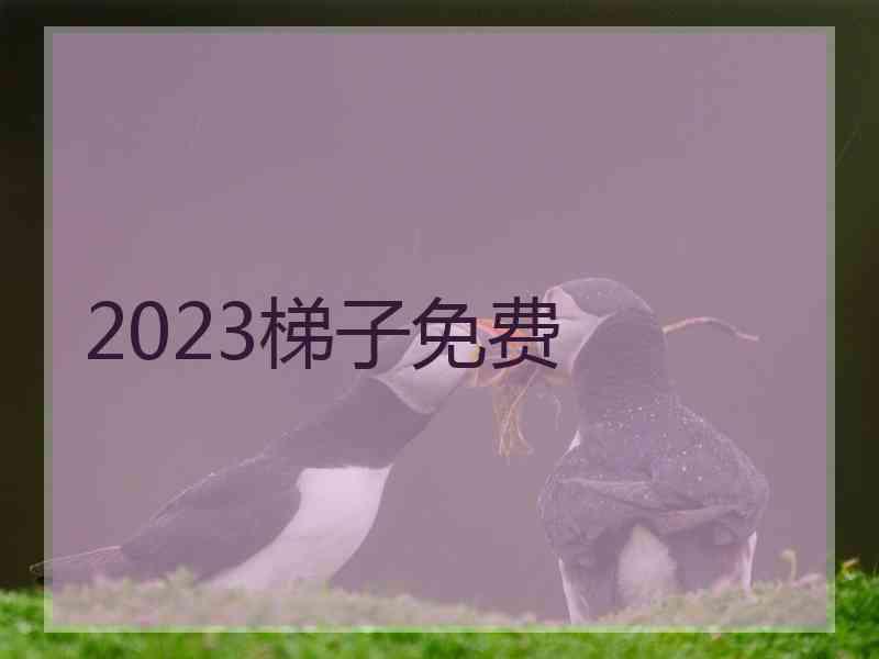 2023梯子免费