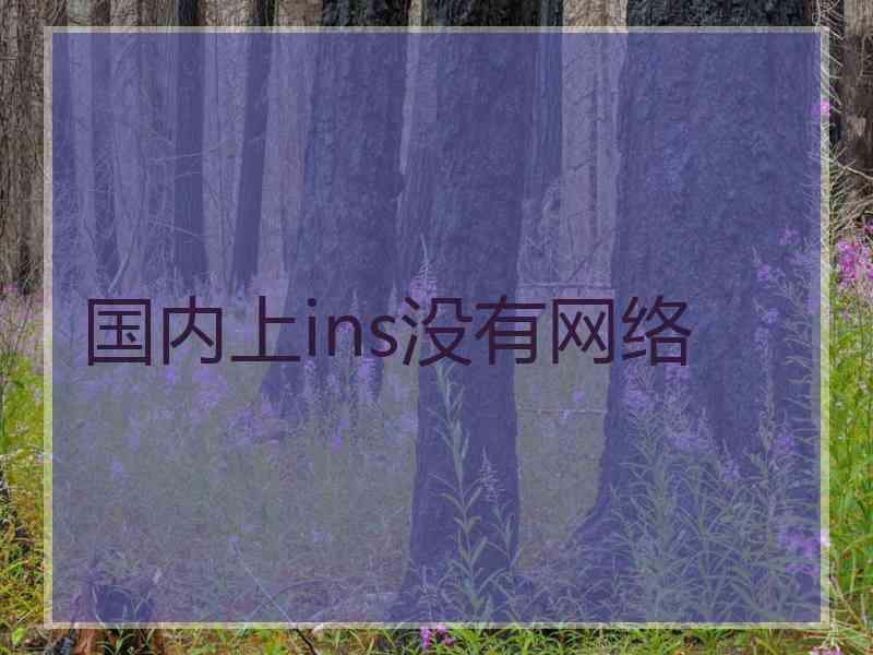 国内上ins没有网络