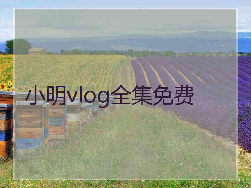 小明vlog全集免费