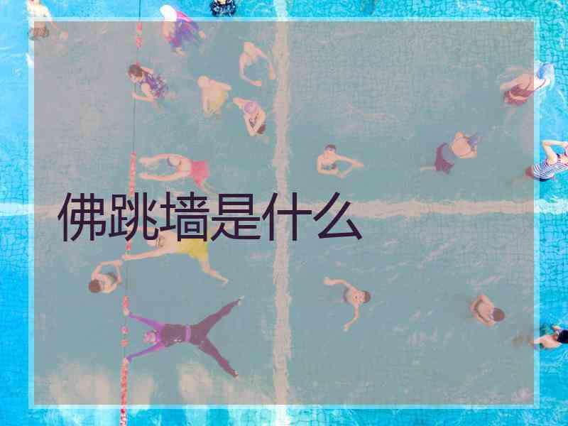 佛跳墙是什么