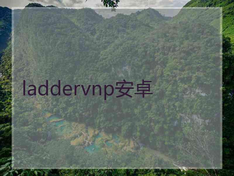 laddervnp安卓