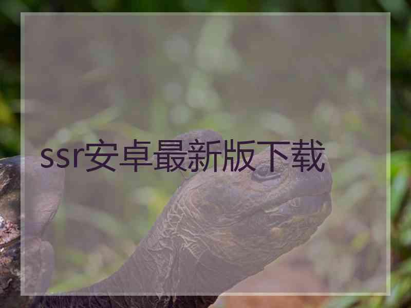 ssr安卓最新版下载
