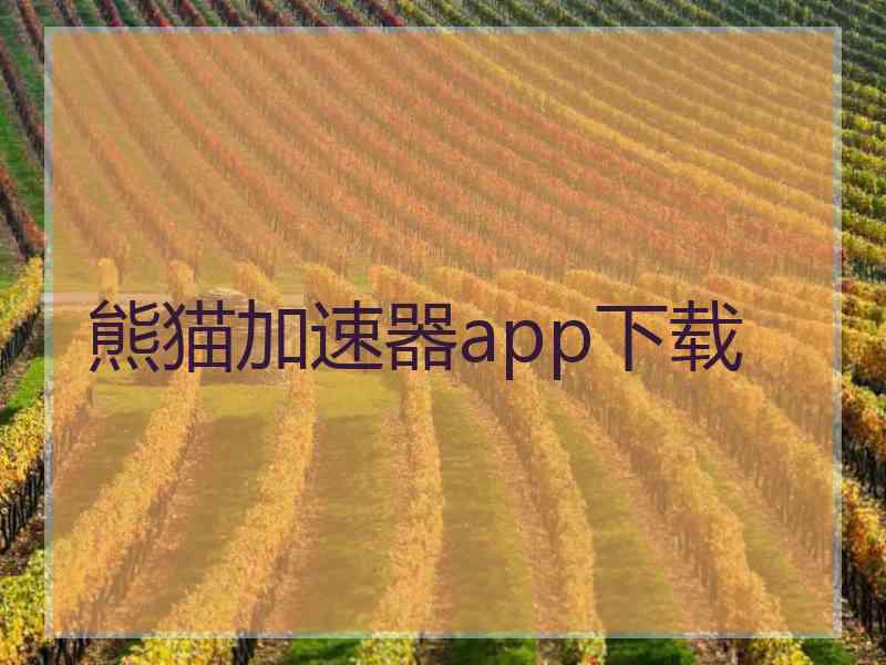 熊猫加速器app下载