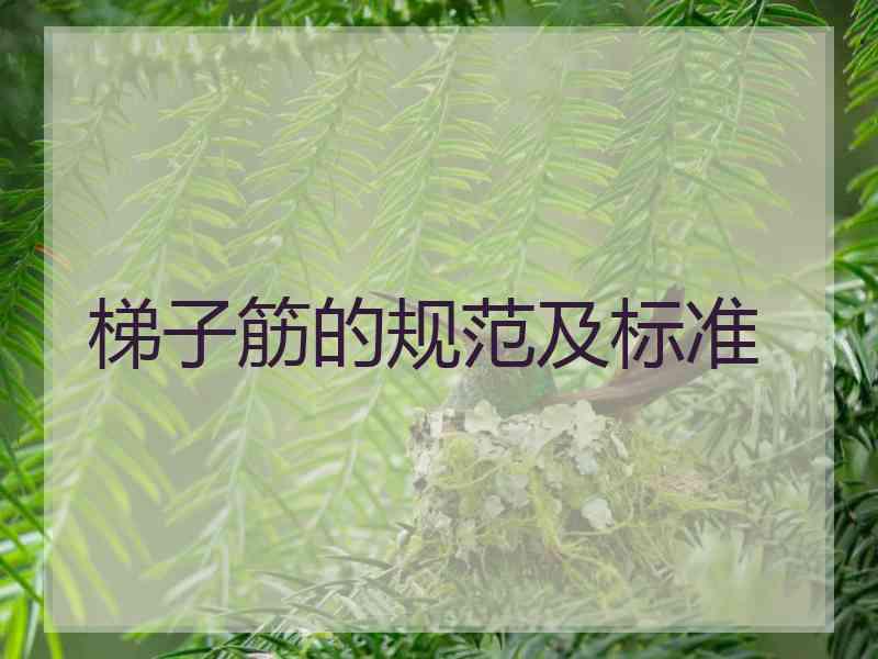 梯子筋的规范及标准