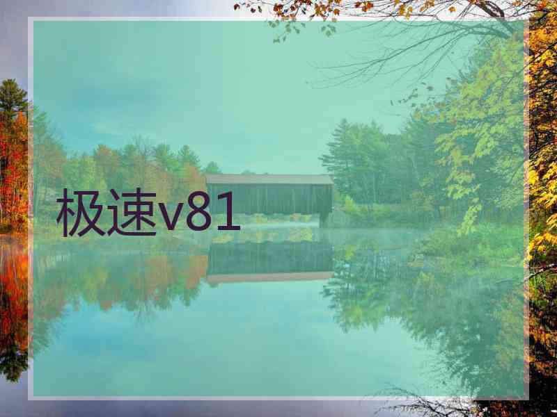 极速v81