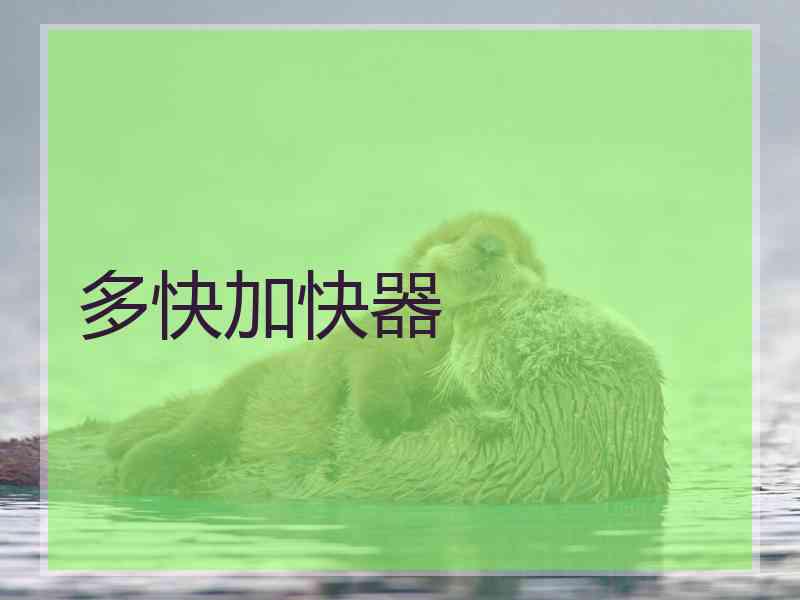 多快加快器