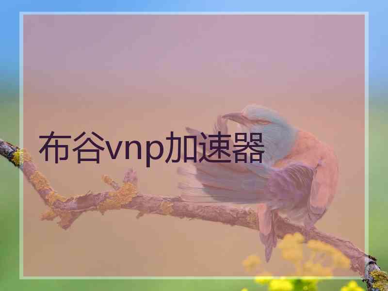 布谷vnp加速器