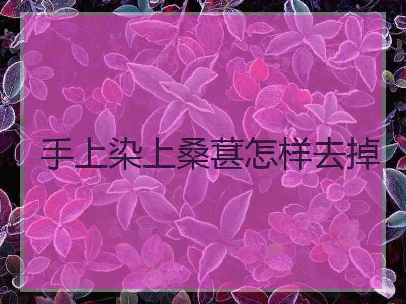 手上染上桑葚怎样去掉