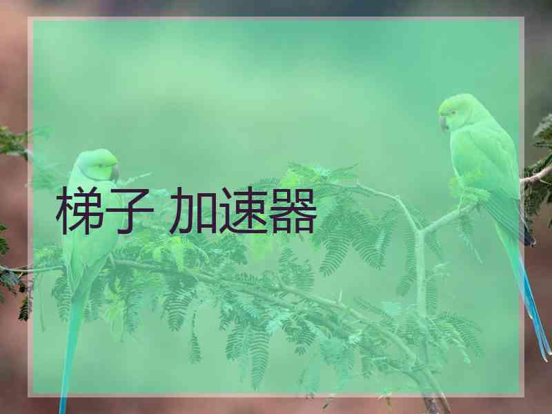 梯子 加速器